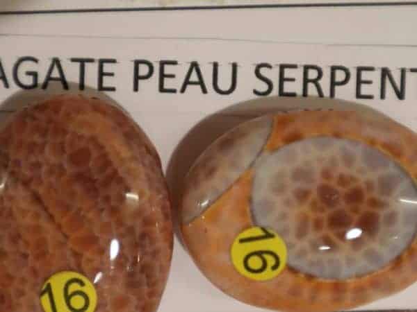 Pendentifs agate peau de serpent-n4