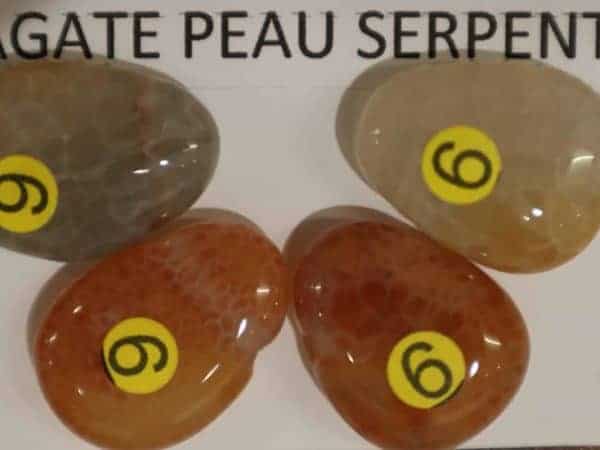 Pendentifs agate peau de serpent-n3