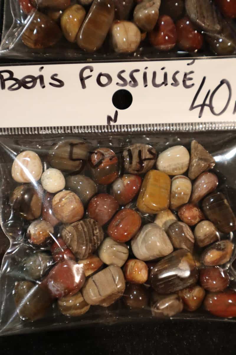 Bois fossilisé-Pierre roulée-sachet-50pcs