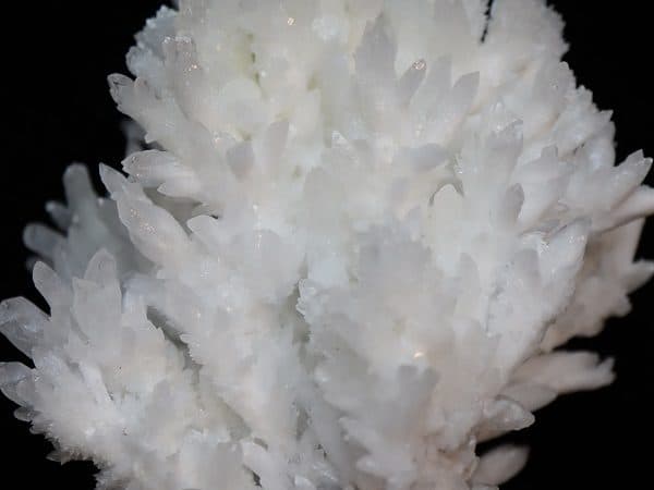 Aragonite corail Chihuahua