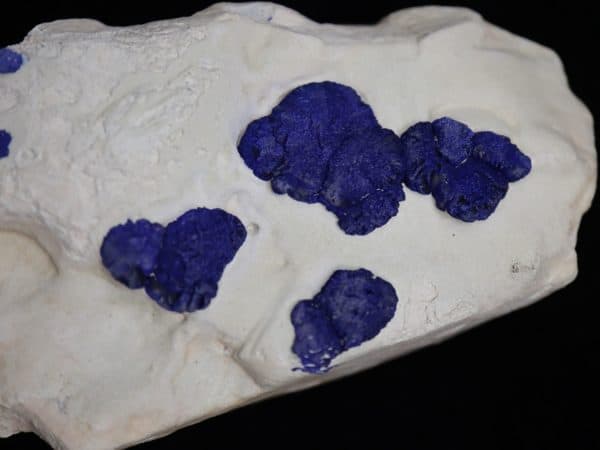 Azurite sur kaolin Australie