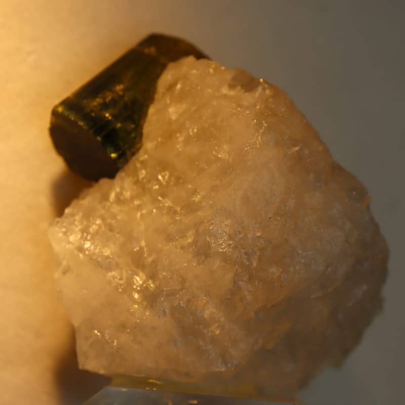 Tourmaline Urubu