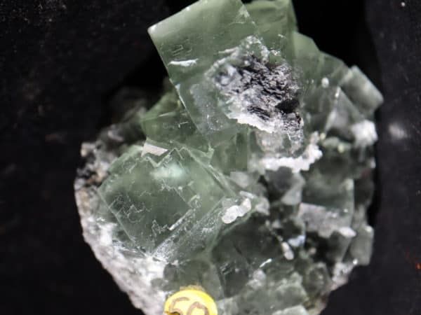 Fluorite verte calcite