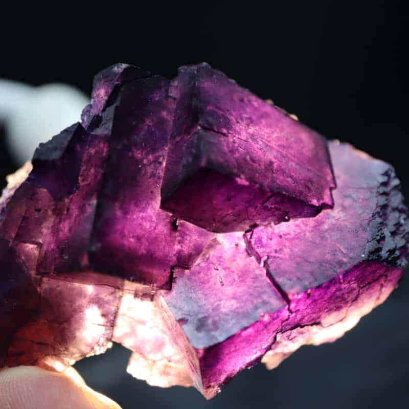 Fluorite violette Mexique