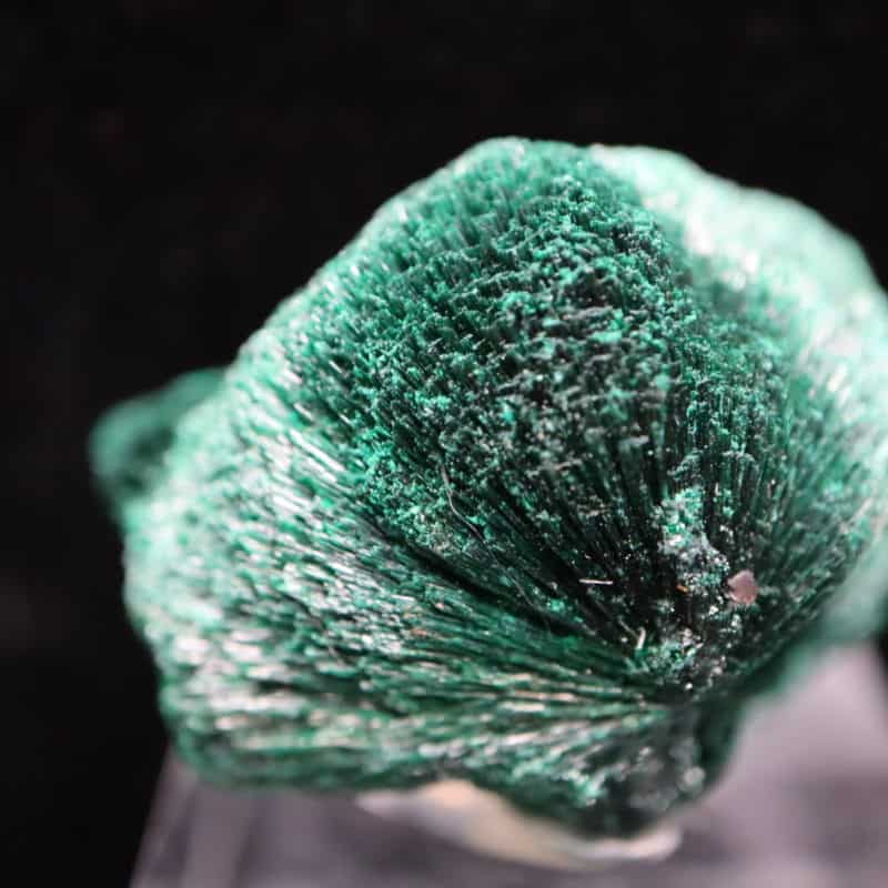 Malachite fibroradiée Congo