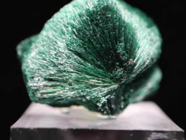 Malachite fibroradiée Congo