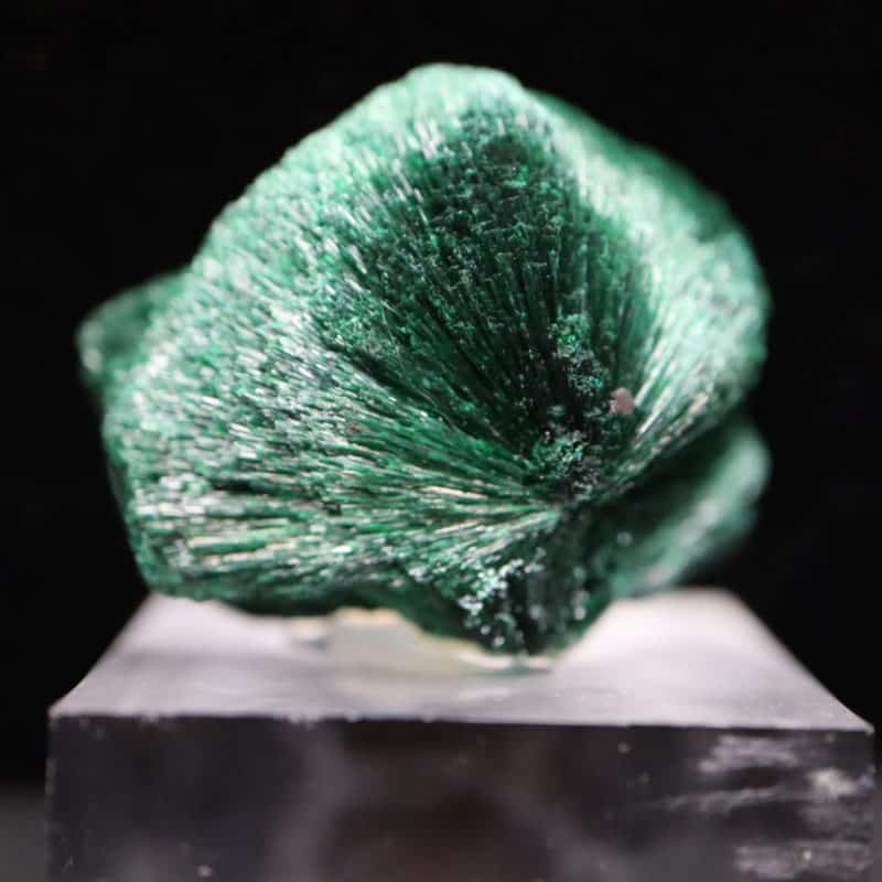 Malachite fibroradiée Congo