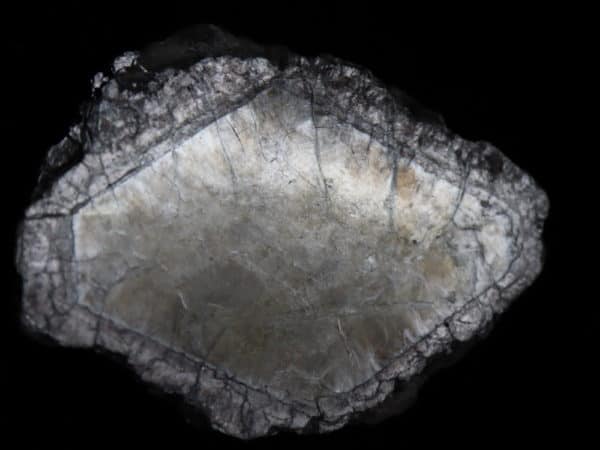 Mica Muscovite Linopolis