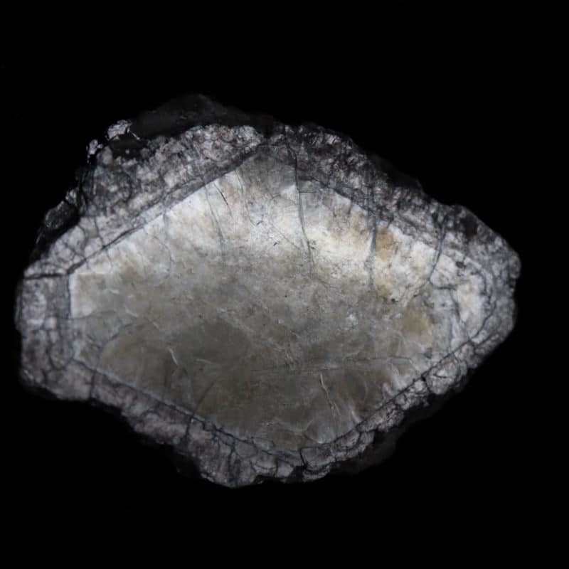 Mica Muscovite Linopolis