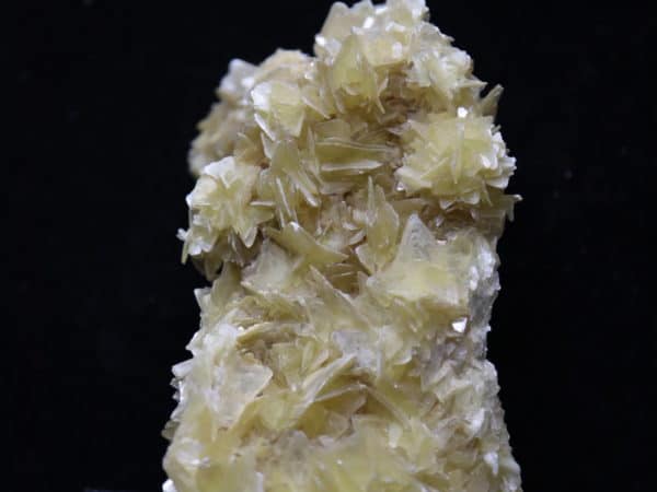 Mica Muscovite étoile