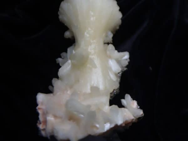 Stilbite noeud pap crème