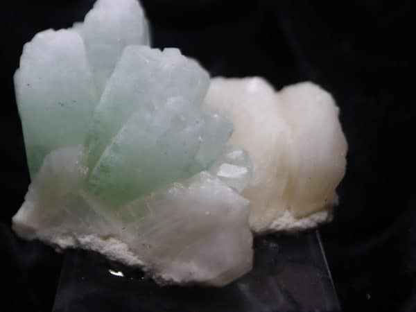 Apophyllite verte Maharashtra