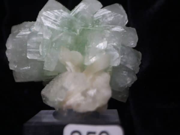 Macle Apophyllite verte