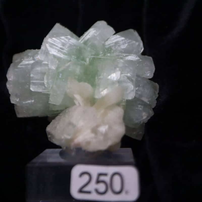 Macle Apophyllite verte