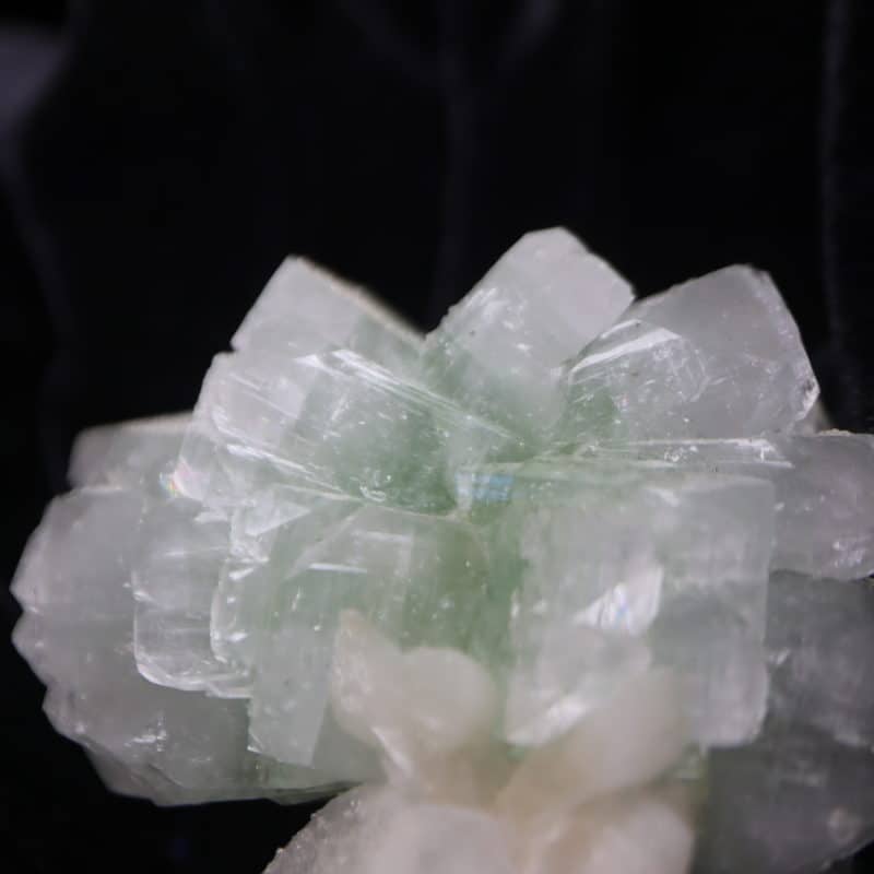 Macle Apophyllite verte