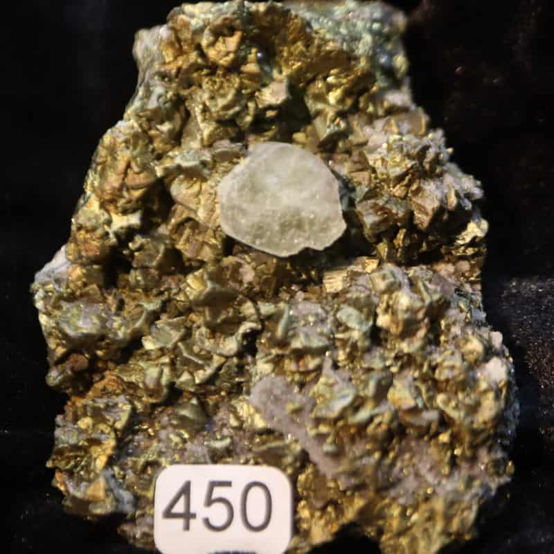 Chalcopyrite Apatite Julcani 2