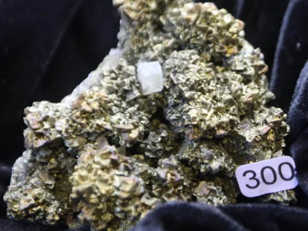 Chalcopyrite Apatite Pérou