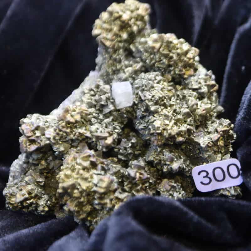 Chalcopyrite Apatite Pérou