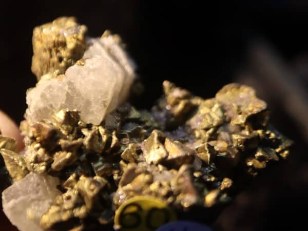 Chalcopyrite Apatite Pérou