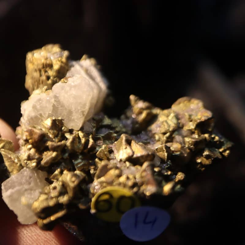 Chalcopyrite Apatite Pérou