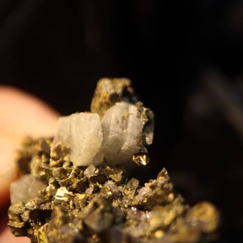 Chalcopyrite Apatite Pérou