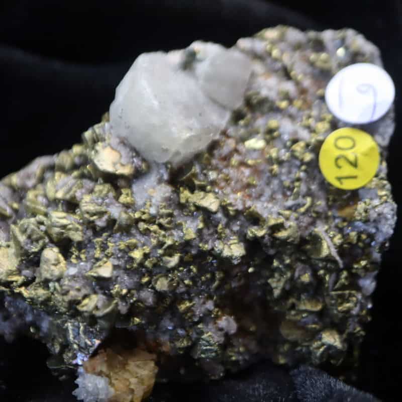 Chalcopyrite Apatite Sidérose Pérou