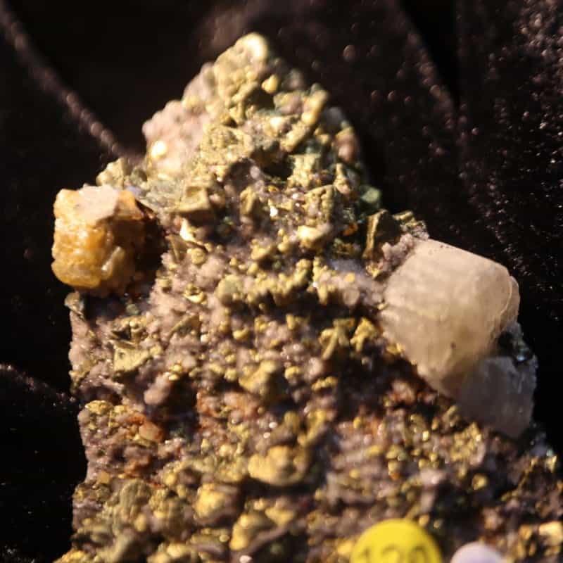 Chalcopyrite Apatite Sidérose Pérou