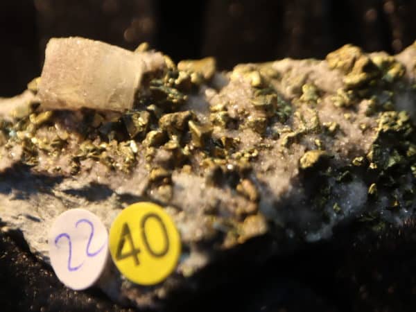 Chalcopyrite Apatite Andes