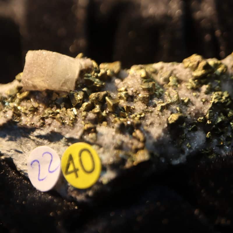 Chalcopyrite Apatite Andes