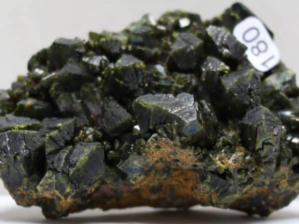 Epidote cristaux Pampa Blanca