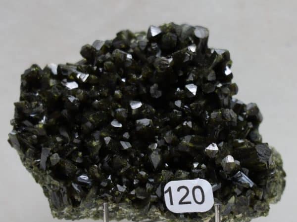 Epidote cristal Pampa Blanca