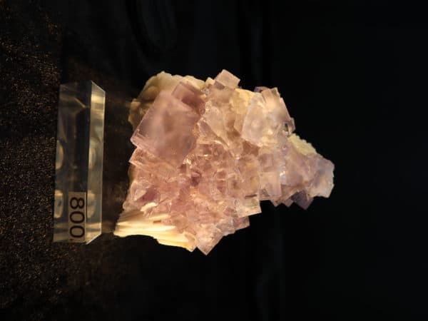 Fluorite Berbès cubique