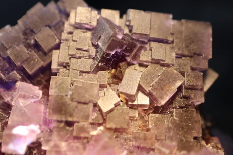 Cubes violets de fluorite