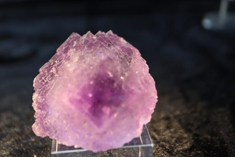 Cube violet de fluorite