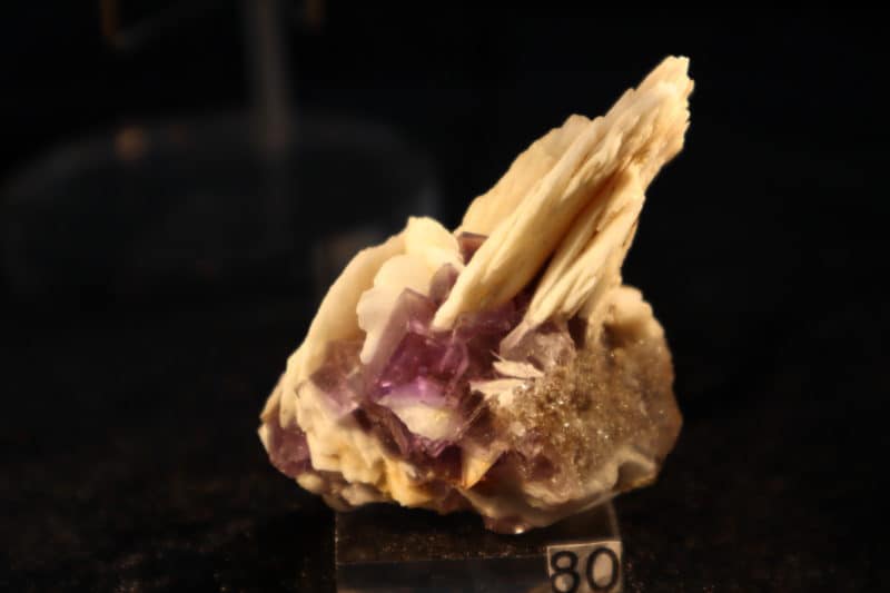 Fluorite Barytine origine Berbes rbés .Fluorine violette avec barytine , mine Ribasella, secteur de Berbés, Asturies Espagne. 4.5 cm x 4.5 cm