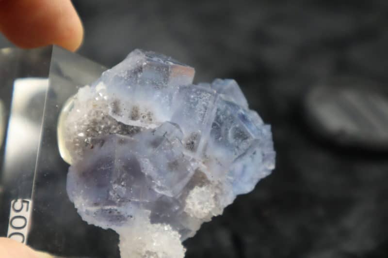 Fluorite bleue Viesca mine