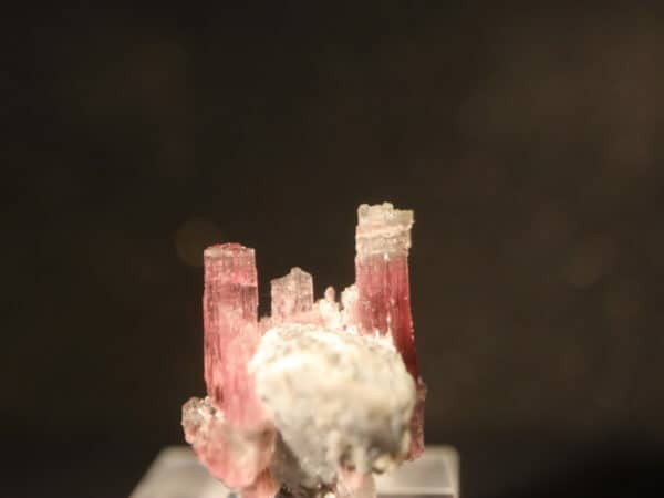 Tourmaline rose apatite