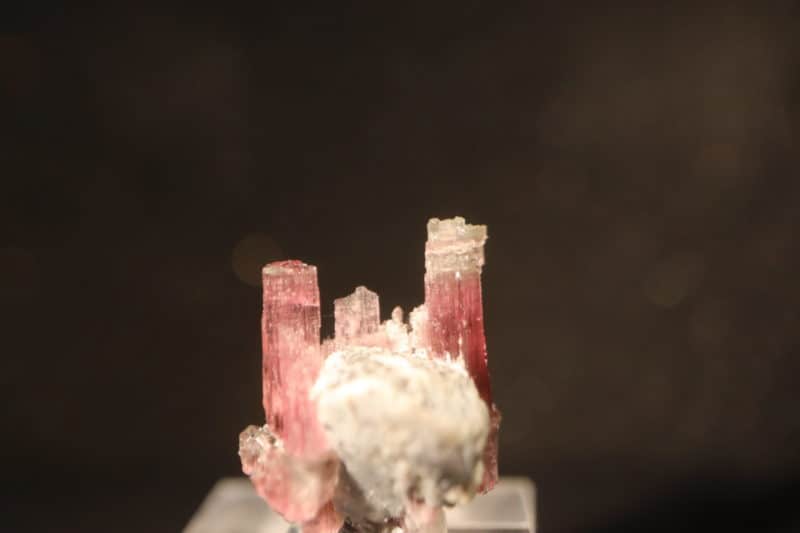 Tourmaline rose apatite