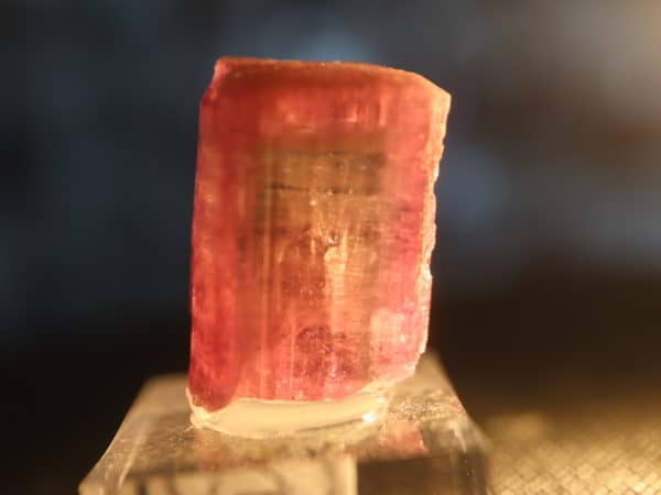 Tourmaline rubellite