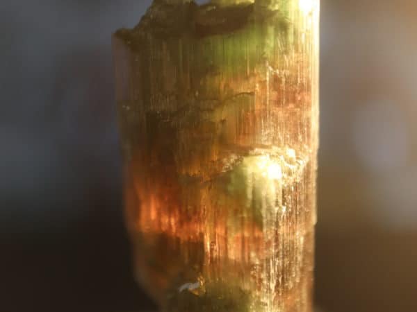 tourmaline bicolore