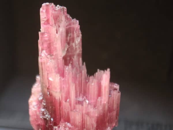 rubellite 1