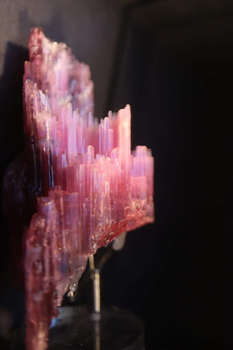 rubellite 1