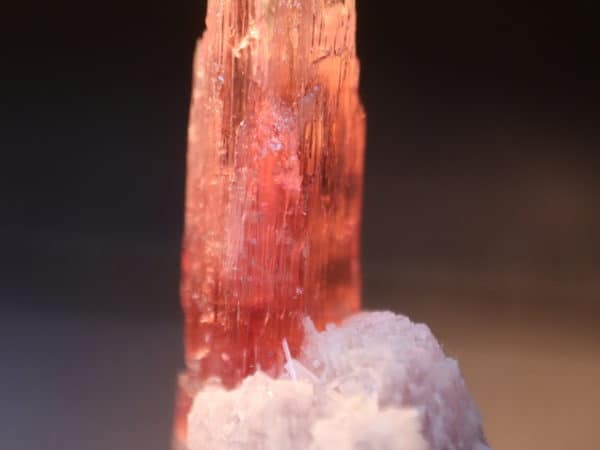 rubellite 2