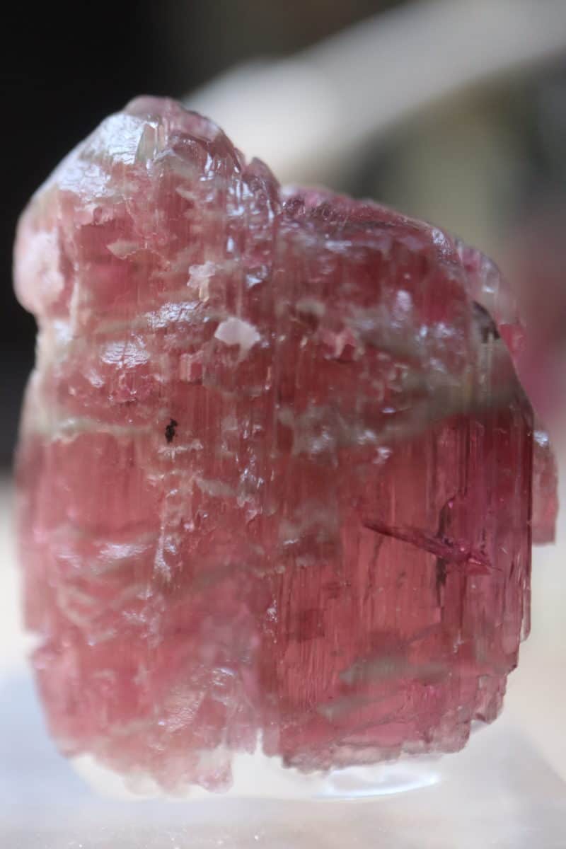 rubellite 3