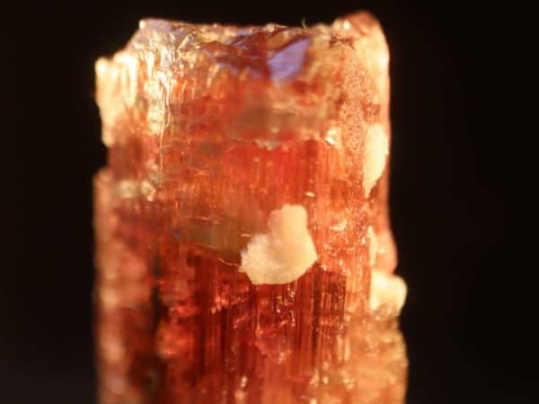 rubellite 8