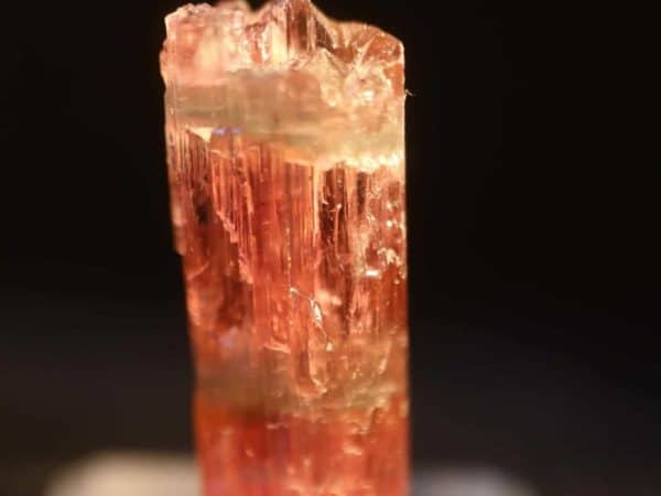 rubellite 9