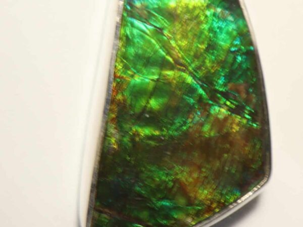 Pendentif Ammolite argent