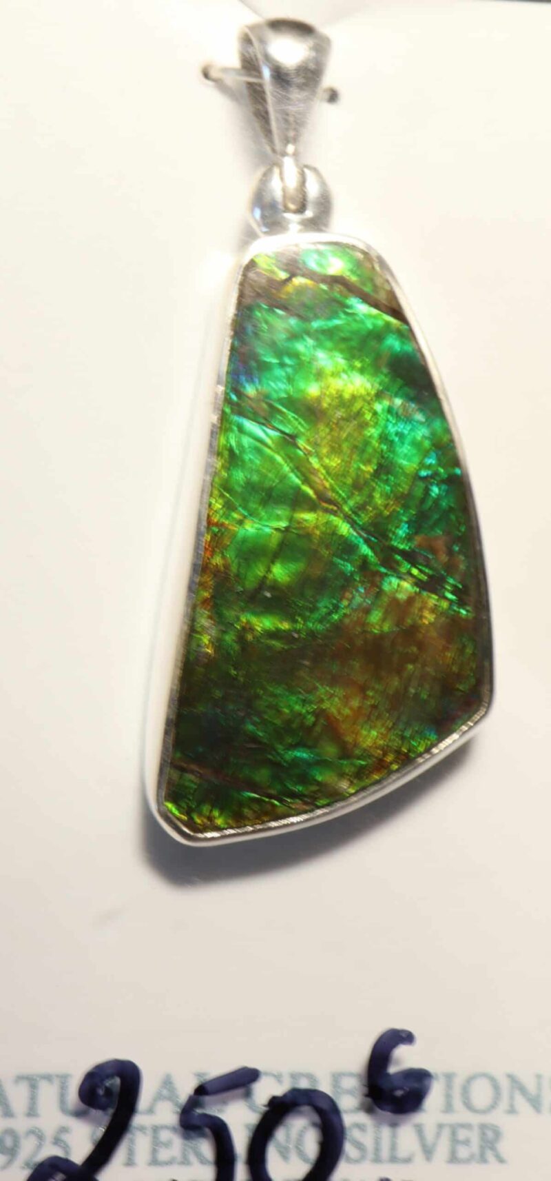 Pendentif Ammolite argent