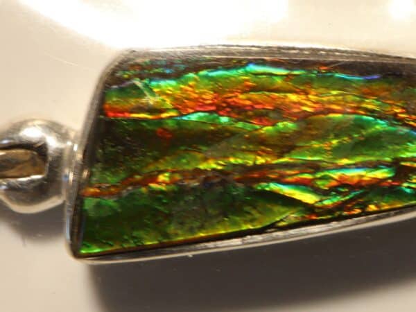 Ammolite opalescente