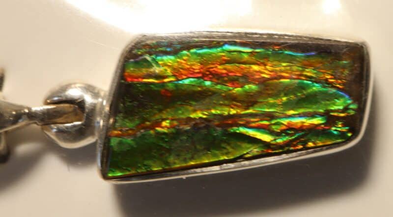 Ammolite opalescente